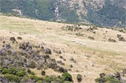 24-PencarrowStationNZ