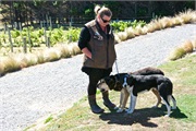 26-PencarrowStationNZ