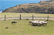 30-PencarrowStationNZ