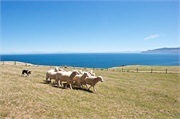 32-PencarrowStationNZ