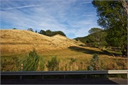 19-Picton_and_MalboroughNZ