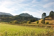 20-Picton_and_MalboroughNZ