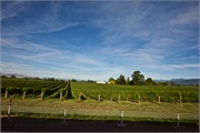 24-Picton_and_MalboroughNZ