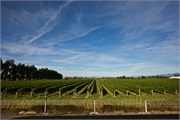 25-Picton_and_MalboroughNZ