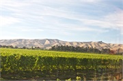28-Picton_and_MalboroughNZ