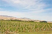 29-Picton_and_MalboroughNZ