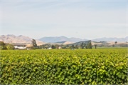 31-Picton_and_MalboroughNZ