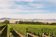 32-Picton_and_MalboroughNZ