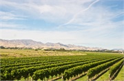33-Picton_and_MalboroughNZ