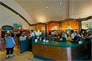 42-Picton_and_MalboroughNZ