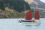 04-AkaroaHarborNZ