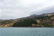 08-AkaroaHarborNZ