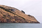 28-AkaroaHarborNZ