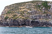 32-AkaroaHarborNZ