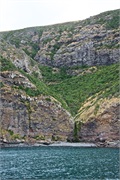 33-AkaroaHarborNZ
