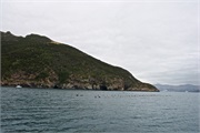44-AkaroaHarborNZ