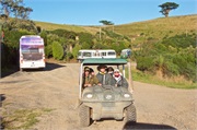 08-Dunedin-NZ