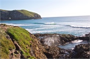 21-Dunedin-NZ
