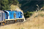 17-TaieriGorgeRR_NZ