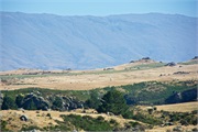 32-TaieriGorgeRR_NZ