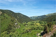 41-TaieriGorgeRR_NZ