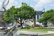 20-Brisbane
