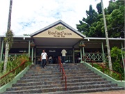 01-RainForestStation
