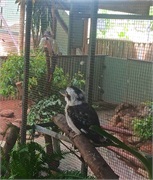 08-RainForestStation