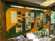 11-DuckTourCairns
