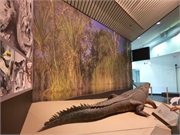 15-DarwinAustralia