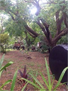 26-DarwinAustralia