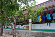 25-KomodoIsland