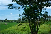 18-Bali_2017