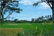20-Bali_2017