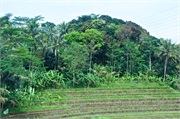 04-Central_Java