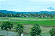 11-Central_Java