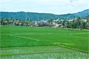 12-Central_Java