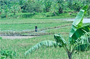 14-Central_Java