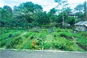 25-Central_Java