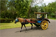 27-Central_Java