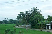 30-Central_Java