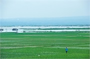 32-Central_Java