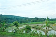 33-Central_Java