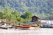 15-Bako_Sarawak