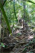 45-Bako_Sarawak