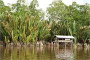 20-Brunei
