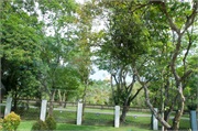 53-Brunei
