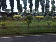 20-KotaKinabalu_Sabah