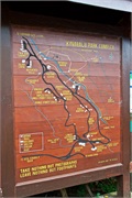 02-Kinabalu_Park