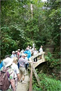 03-Kinabalu_Park